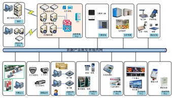 上海中信信息發(fā)展食品流通追溯解決方案 軟件批發(fā)優(yōu)勢與應用價值